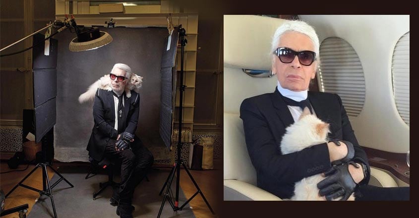 Karl Lagerfeld-cat-3 Karl Lagerfeld-cat-3